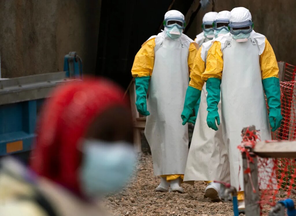 OMS declara surto de ebola no Congo e Uganda como 'emergência de saúde pública de importância internacional' | Finanças